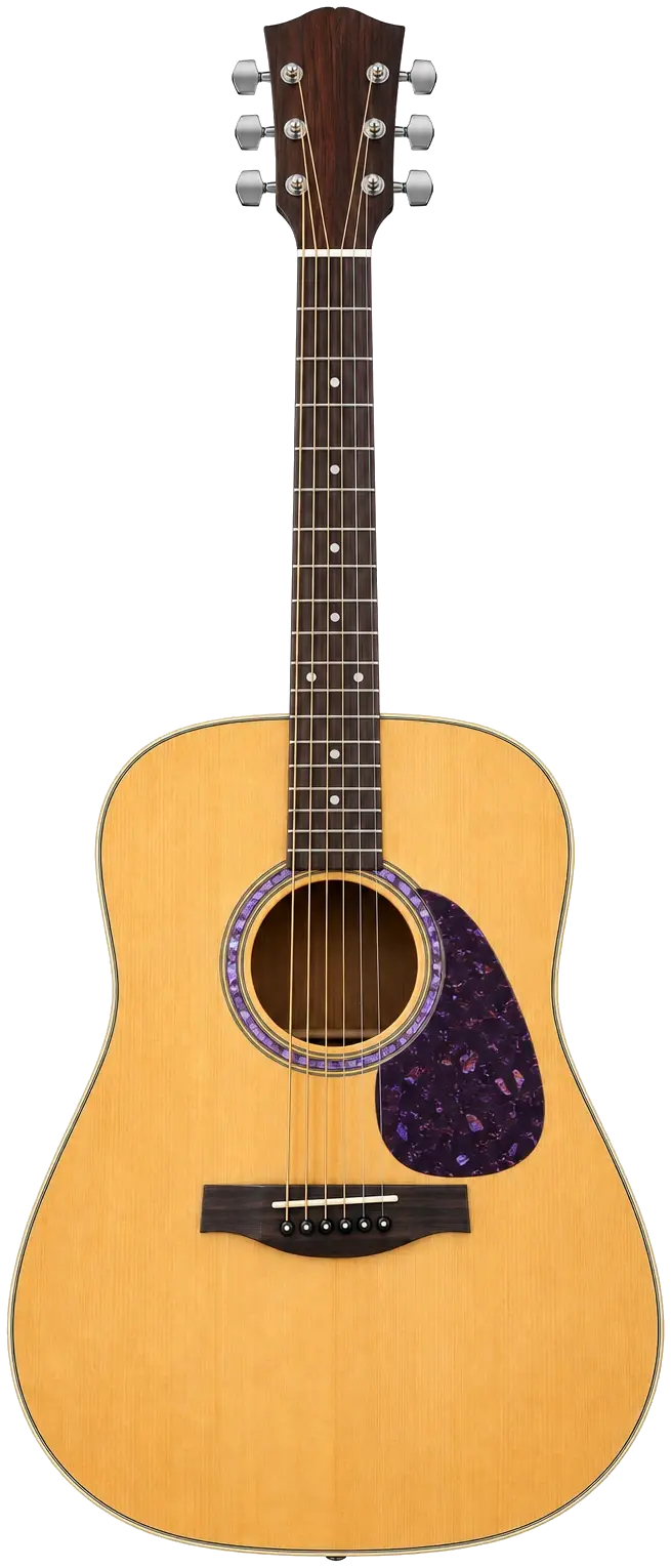 Acoustic Guitar